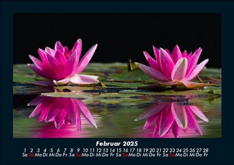 Produktbild: Rosentraum 2025 Fotokalender DIN A5