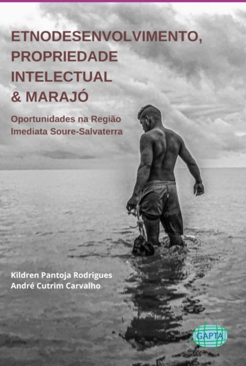 Produktbild: Etnodesenvolvimento, Propriedade Intelectual & Maraj&oacute;