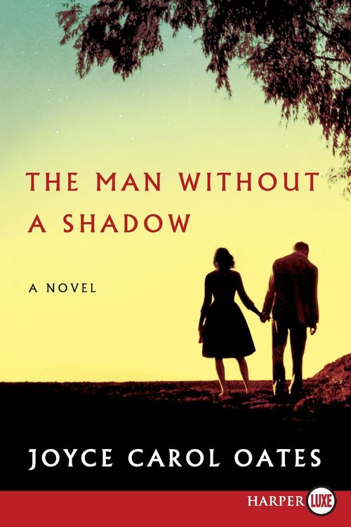 Produktbild: Man Without a Shadow LP, The