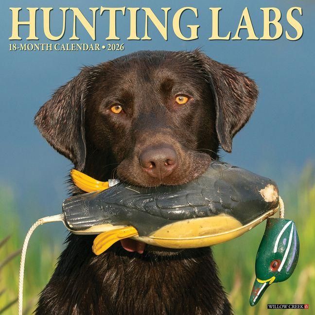 Produktbild: Hunting Labs 2026 12 X 12 Wall Calendar