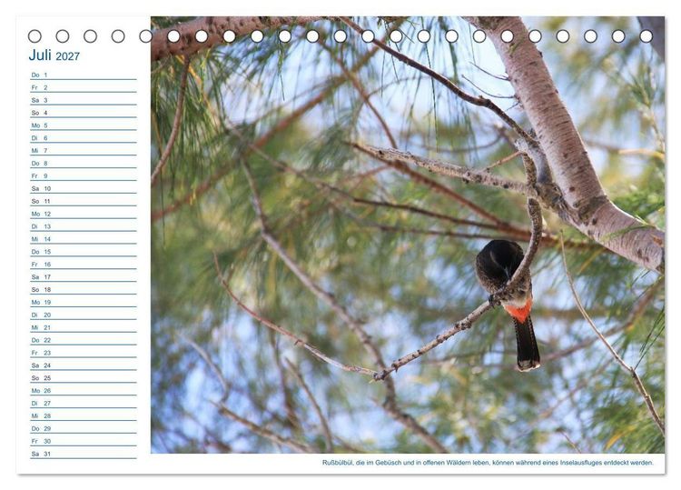 Produktbild: S&uuml;dsee-Insel Mo'orea (Tischkalender 2027 DIN A5 quer), CALVENDO Monatskalender