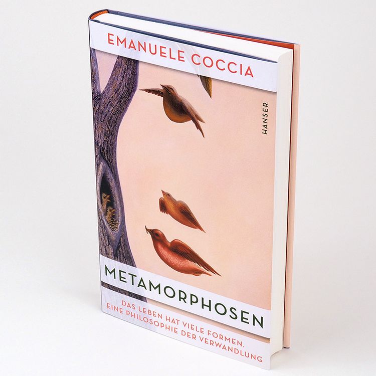 Produktbild: Metamorphosen