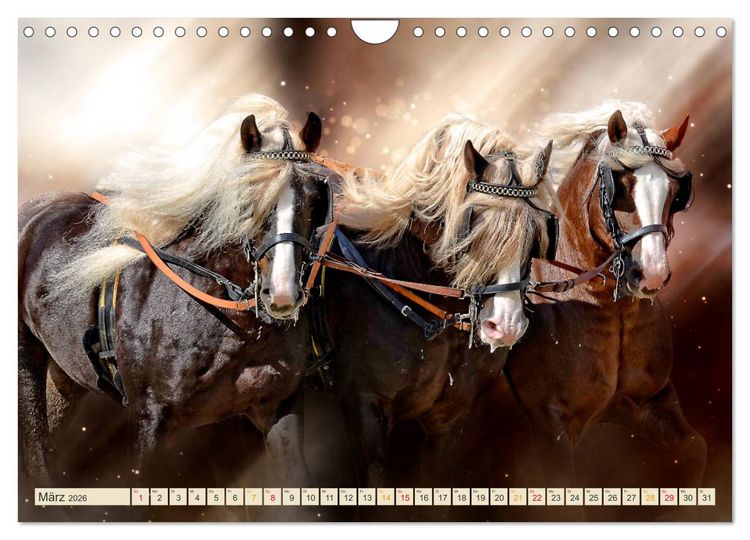 Produktbild: Eleganz und Sch&ouml;nheit - Pferde (Wandkalender 2026 DIN A4 quer), CALVENDO Monatskalender