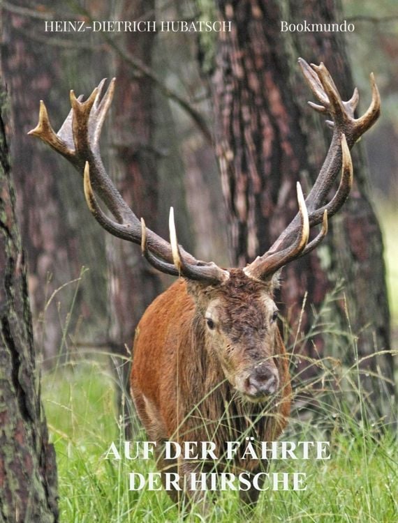 Produktbild: Auf der F&auml;hrte der Hirsche