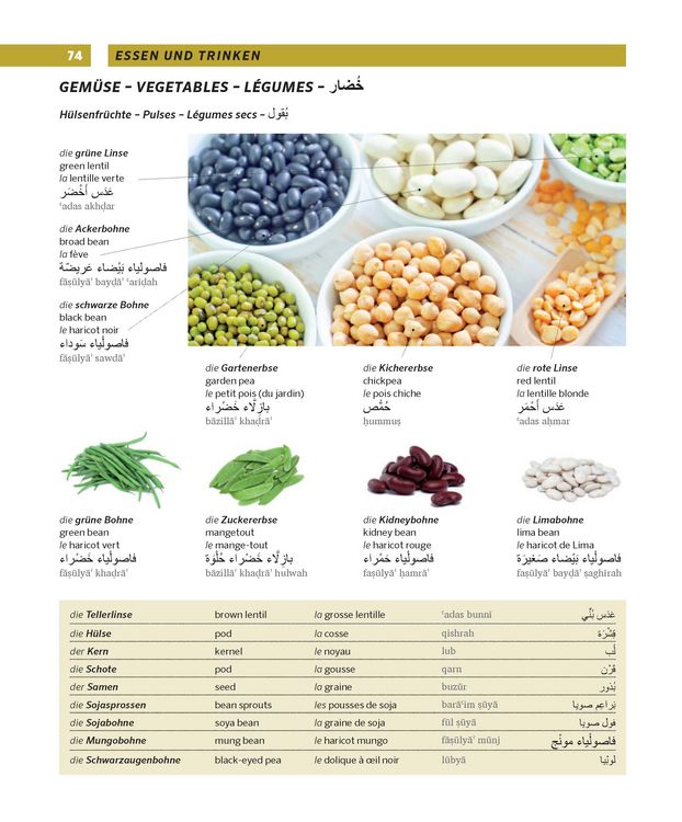 Produktbild: PONS Gro&szlig;es Bildw&ouml;rterbuch Arabisch - Deutsch + Englisch und Franz&ouml;sisch