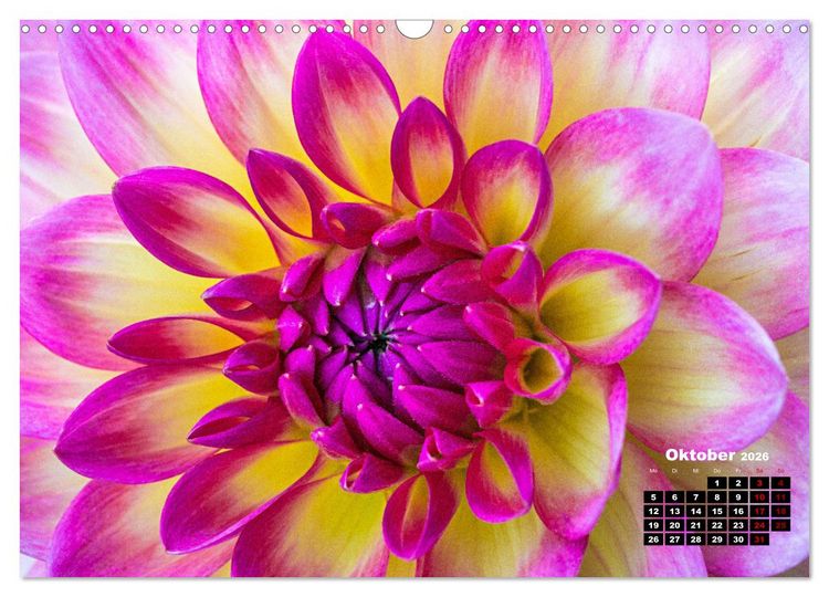 Produktbild: Im Herzen der Dahlie (Wandkalender 2026 DIN A3 quer), CALVENDO Monatskalender