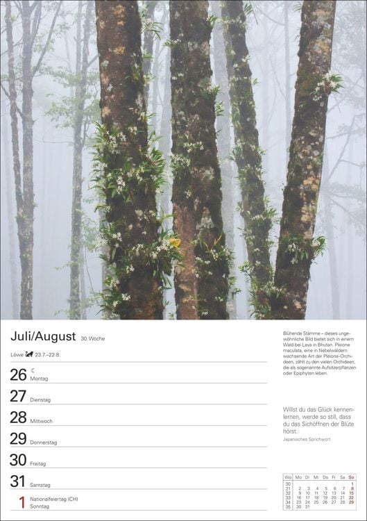 Produktbild: Wunder der Natur Wochenplaner 2027 - 53 faszinierende Fotografien