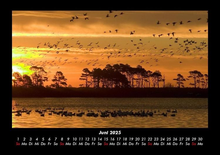 Produktbild: Sonnenunterg&auml;nge 2025 Fotokalender DIN A3