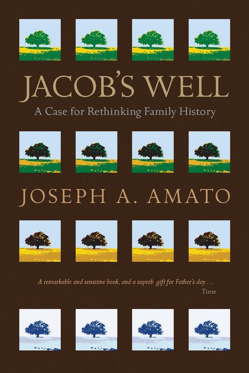 Produktbild: Jacob's Well
