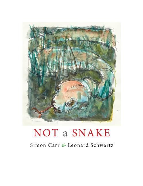 Produktbild: Not a Snake