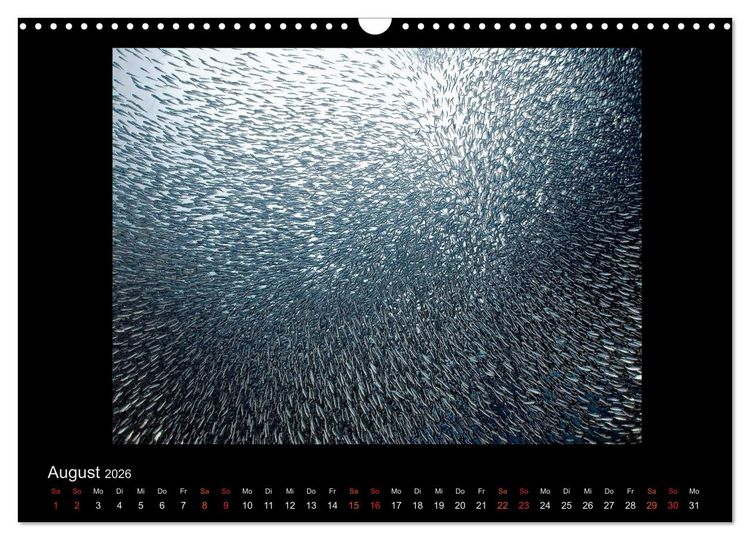 Produktbild: Ocean-Art / CH-Version (Wandkalender 2026 DIN A3 quer), CALVENDO Monatskalender