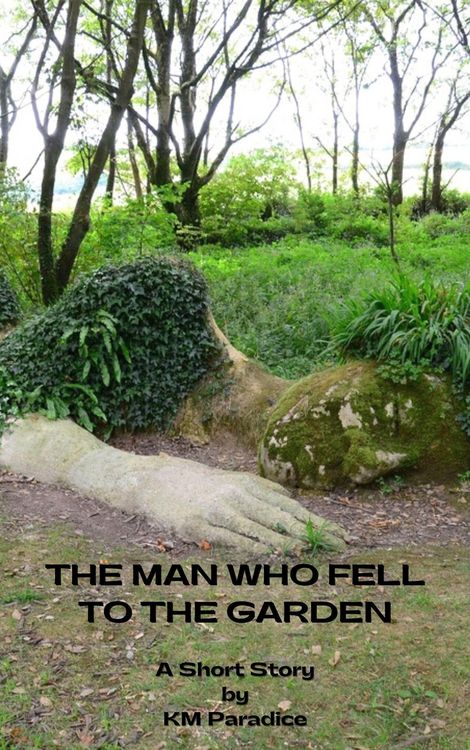 Produktbild: The Man Who Fell to the Garden (The Ohoopee River Anthology, #3)