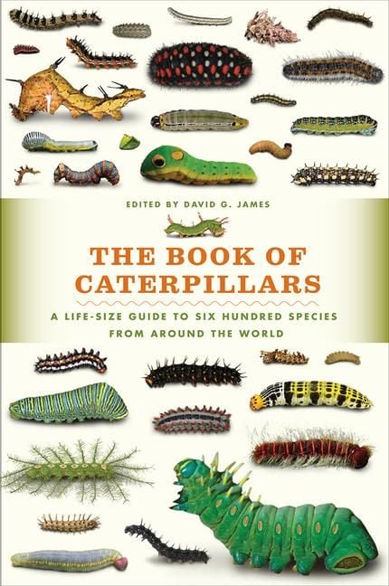Produktbild: The Book of Caterpillars