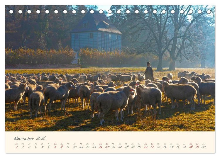 Produktbild: Weimar Die europ&auml;ische Kulturstadt (Tischkalender 2026 DIN A5 quer), CALVENDO Monatskalender