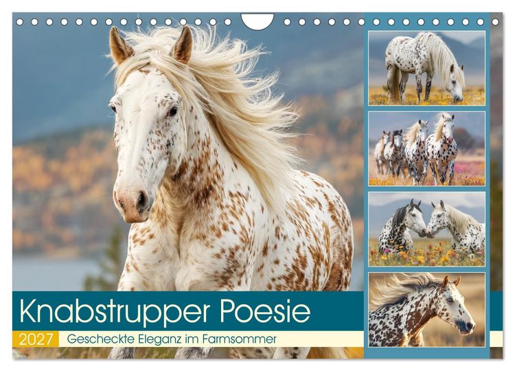 Produktbild: Knabstrupper Poesie. Gescheckte Eleganz im Farmsommer (Wandkalender 2027 DIN A4 quer), CALVENDO Monatskalender