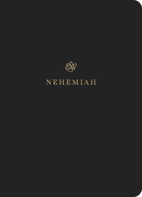 Produktbild: ESV Scripture Journal