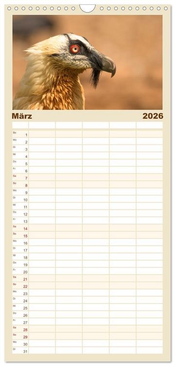 Produktbild: Familienplaner 2026 - Die Geier sind los mit 5 Spalten (Wandkalender, 21 x 45 cm) CALVENDO