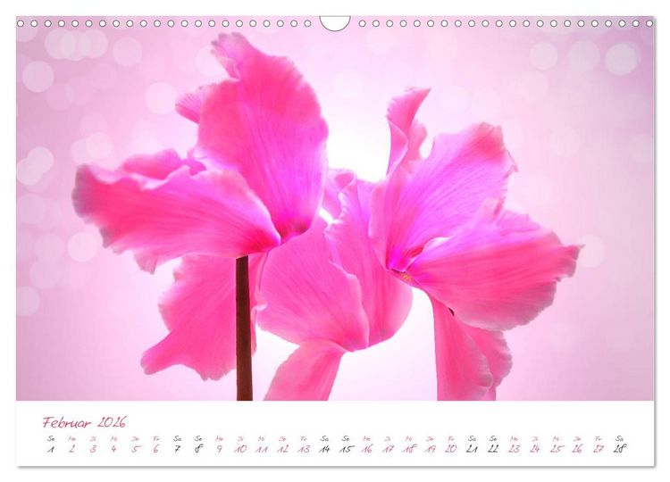Produktbild: Bl&uuml;tentr&auml;ume in violett und pink (Wandkalender 2026 DIN A3 quer), CALVENDO Monatskalender