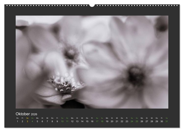 Produktbild: Pflanzen in Schwarz und Wei&szlig; (Wandkalender 2026 DIN A2 quer), CALVENDO Monatskalender