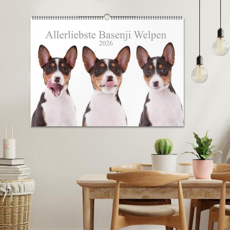 Produktbild: Allerliebste Basenji Welpen 2026 (Wandkalender 2026 DIN A2 quer), CALVENDO Monatskalender