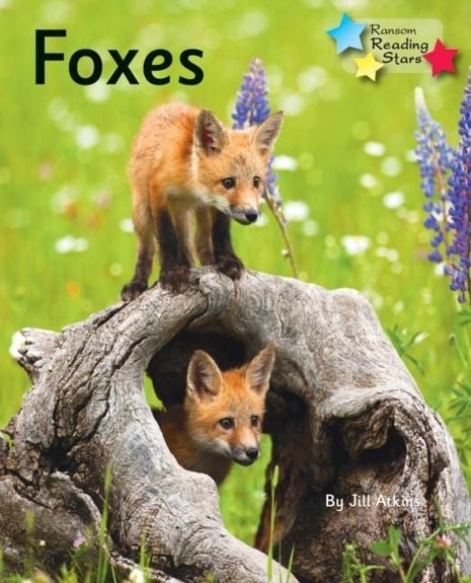 Produktbild: Foxes