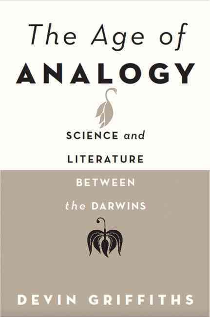 Produktbild: The Age of Analogy