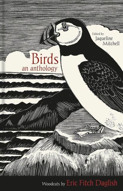 Produktbild: Birds