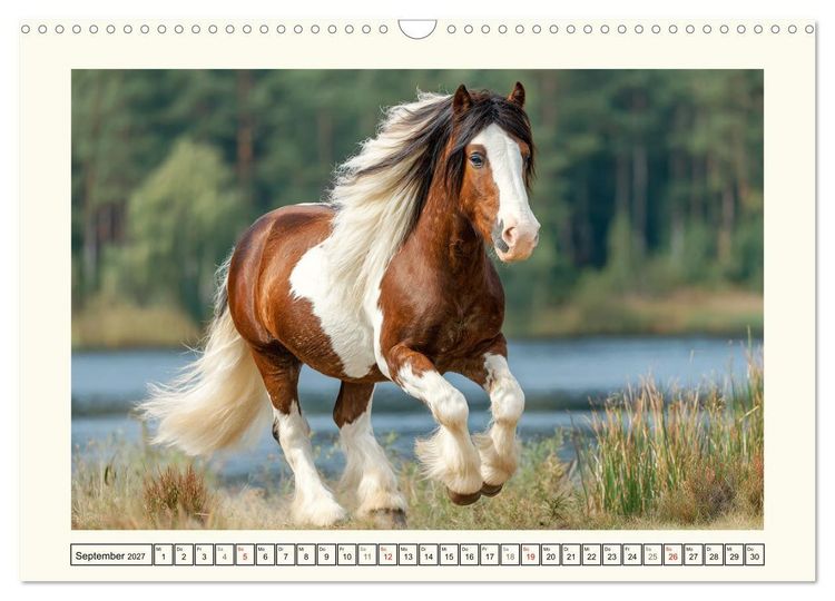 Produktbild: Irish Tinker Liebe. Der robuste Charme der Gypsy Cobs (Wandkalender 2027 DIN A3 quer), CALVENDO Monatskalender