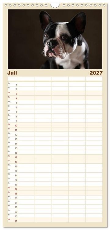 Produktbild: Familienplaner 2027 - Charme auf vier Pfoten - Franz&ouml;sische Bulldoggen Portraits mit 5 Spalten (Wandkalender, 21 x 45 cm) CALVENDO