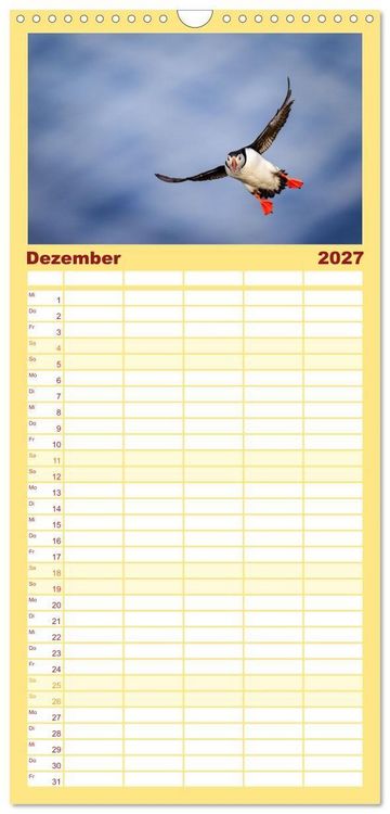 Produktbild: Familienplaner 2027 - Puffins - Papageientaucher auf Island mit 5 Spalten (Wandkalender, 21 x 45 cm) CALVENDO