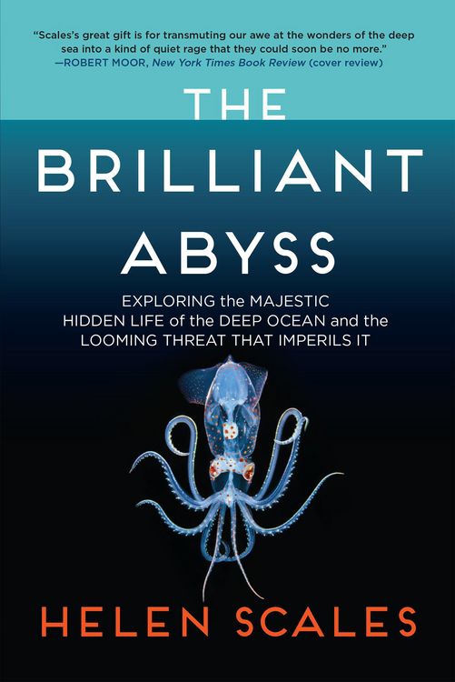 Produktbild: The Brilliant Abyss