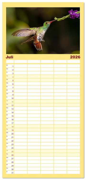 Produktbild: Familienplaner 2026 - Tropische V&ouml;gel Costa Ricas mit 5 Spalten (Wandkalender, 21 x 45 cm) CALVENDO