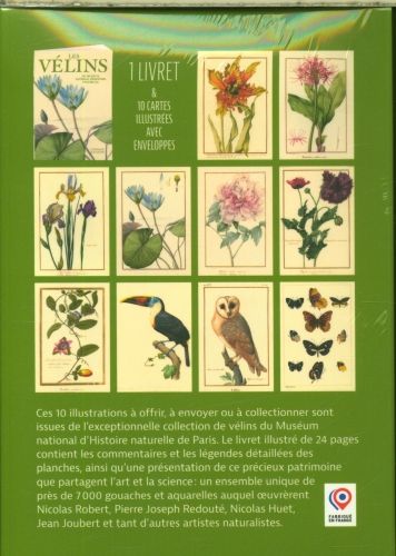Produktbild: Les v&eacute;lins : du mus&eacute;um national d'histoire naturelle
