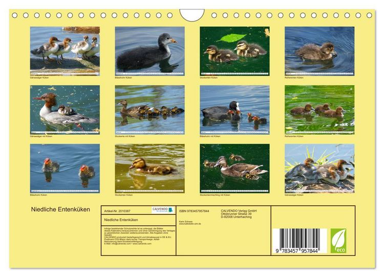 Produktbild: Niedliche Entenk&uuml;ken (Wandkalender 2026 DIN A4 quer), CALVENDO Monatskalender