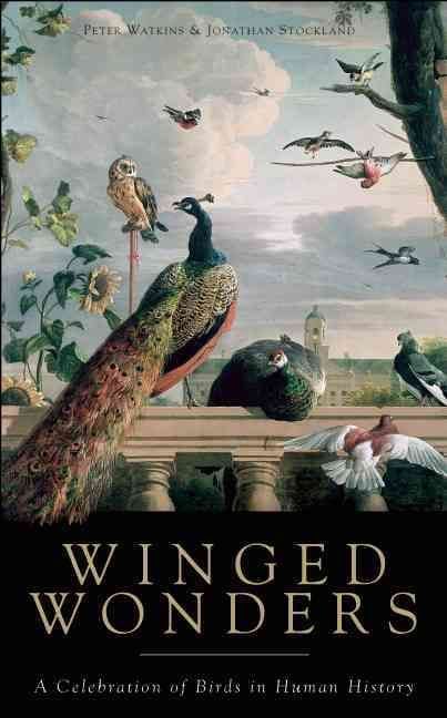 Produktbild: Winged Wonders