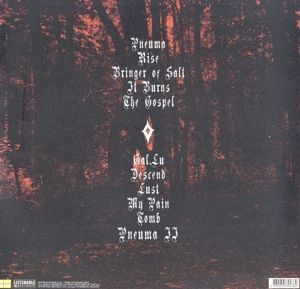 Produktbild: The Gospel (LP)