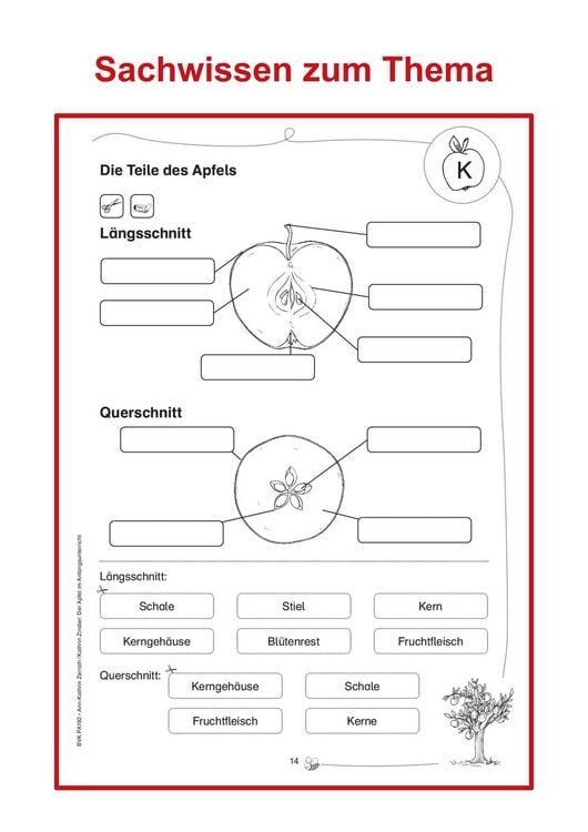 Produktbild: Der Apfel im Anfangsunterricht