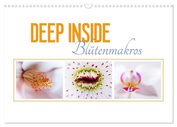 Produktbild: DEEP INSIDE - Bl&uuml;tenmakros (Wandkalender 2026 DIN A3 quer), CALVENDO Monatskalender