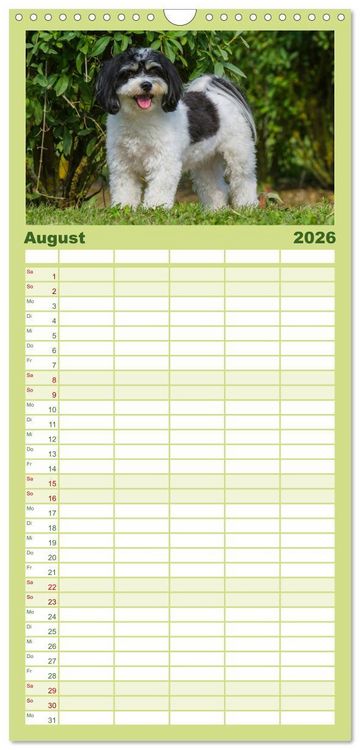 Produktbild: Familienplaner 2026 - Havaneser - Herz auf 4 Pfoten mit 5 Spalten (Wandkalender, 21 x 45 cm) CALVENDO