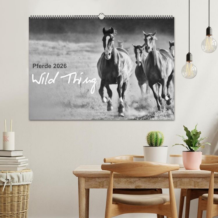 Produktbild: Pferde 2026 Wild Thing (Wandkalender 2026 DIN A2 quer), CALVENDO Monatskalender