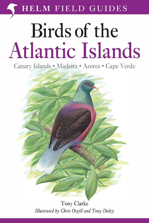 Produktbild: Field Guide to the Birds of the Atlantic Islands
