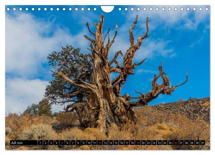 Produktbild: Entlang der Sierra Nevada (Wandkalender 2026 DIN A4 quer), CALVENDO Monatskalender