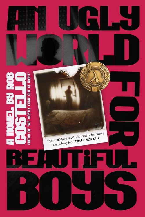 Produktbild: An Ugly World for Beautiful Boys