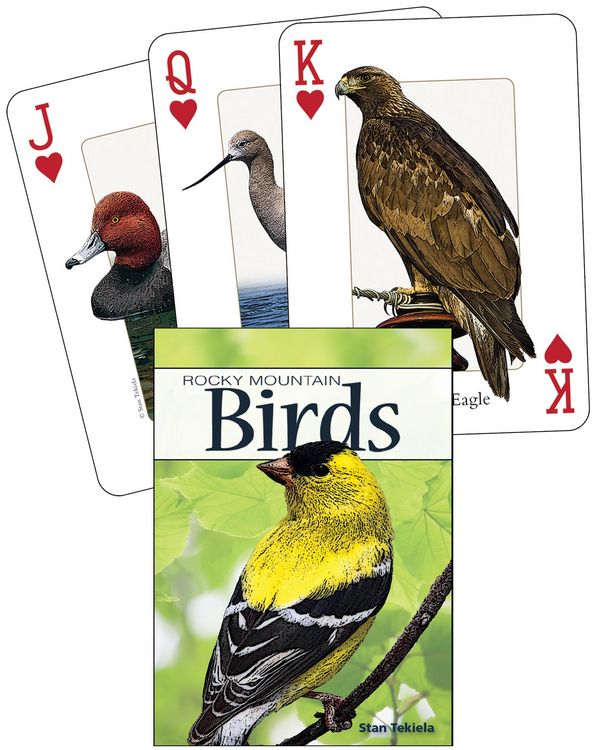 Produktbild: Birds of the Rocky Mountains Playing Cards