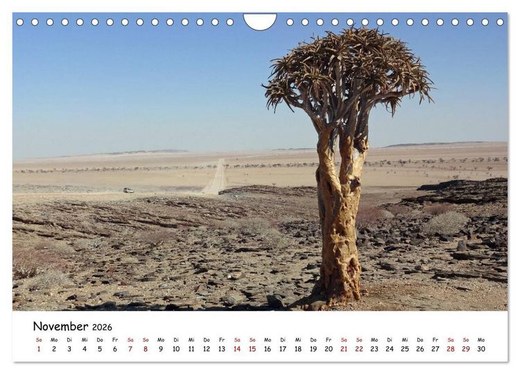 Produktbild: Natur und Landschaft. S&uuml;dliches Afrika 2026 (Wandkalender 2026 DIN A4 quer), CALVENDO Monatskalender