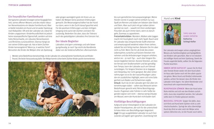 Produktbild: Labrador Retriever