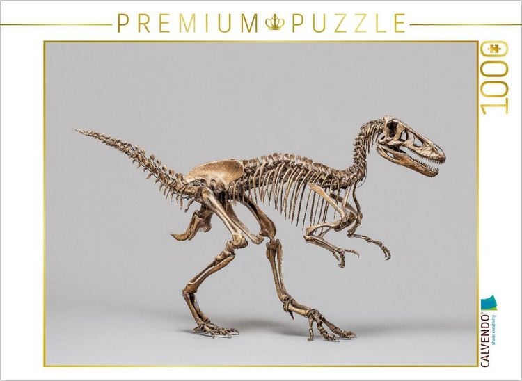Produktbild: CALVENDO Puzzle Dinosaurier Velociraptor-Skelett - kleiner Raubsaurier mit langen Krallen | 1000 Teile Lege-Gr&ouml;&szlig;e 64x48cm Foto-Puzzle f&uuml;r gl&uuml;ckliche S