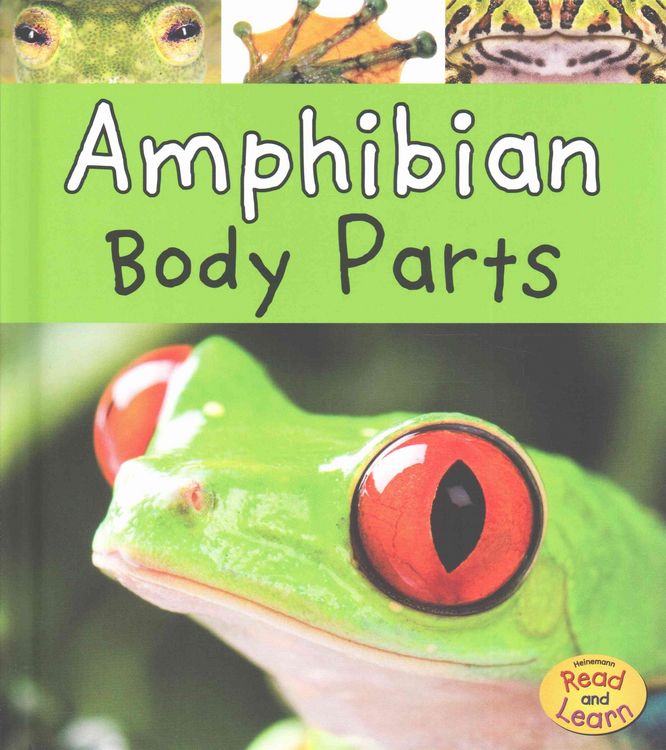 Produktbild: Amphibian Body Parts