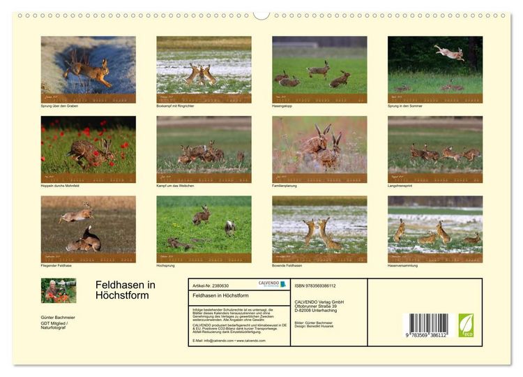 Produktbild: Feldhasen in H&ouml;chstform (hochwertiger Premium Wandkalender 2027 DIN A2 quer), Kunstdruck in Hochglanz