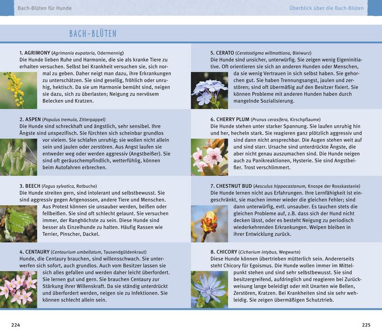 Produktbild: Hom&ouml;opathie f&uuml;r Hunde